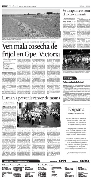Gómez Palacio y Lerdo página 2