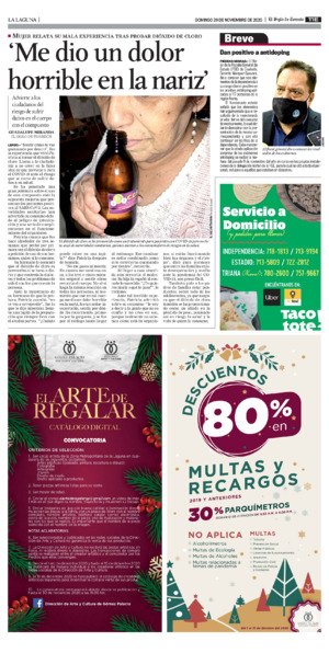 La Laguna página 11