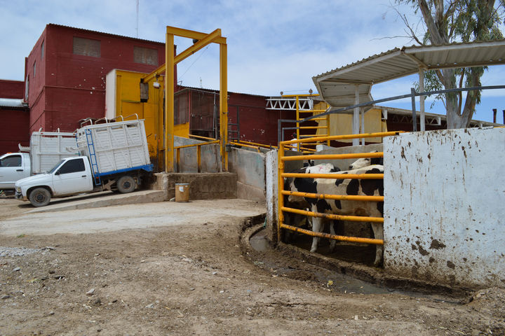 Terreno en Venta en Rastro Municipal, Torreón