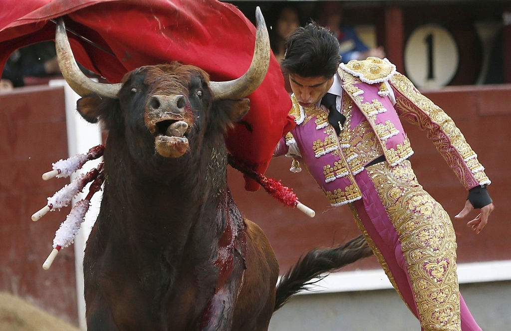 Torero Tuch Torero Tuch
