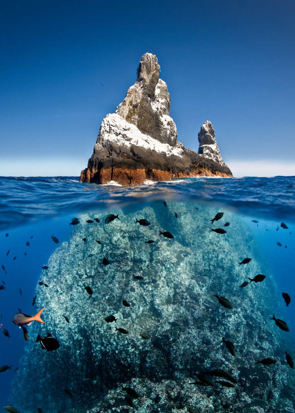 El Archipiélago de Revillagigedo también es patrimonio de la humanidad.
