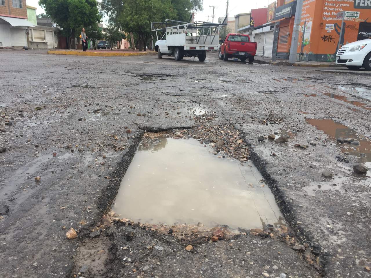 Resultado de imagen para PASEO DE LOS ALAMOS JACARANDAS