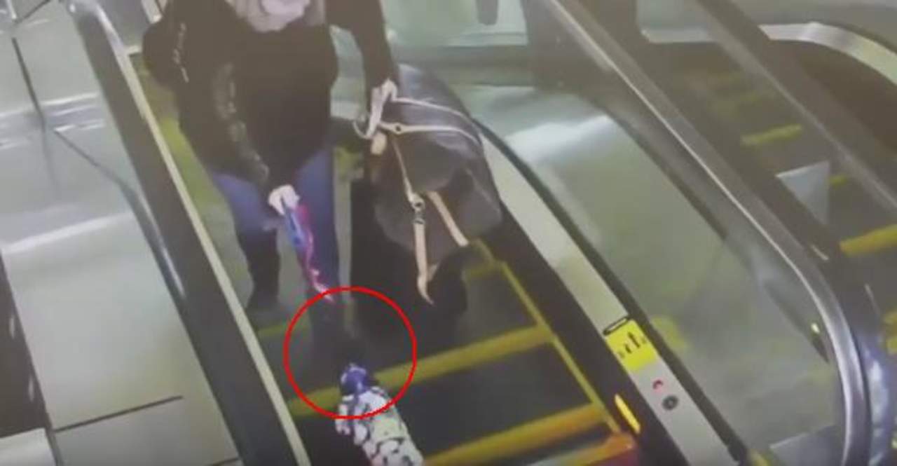 VIDEO: Perro queda atrapado en escalera eléctrica de aeropuerto. Noticias en tiempo real