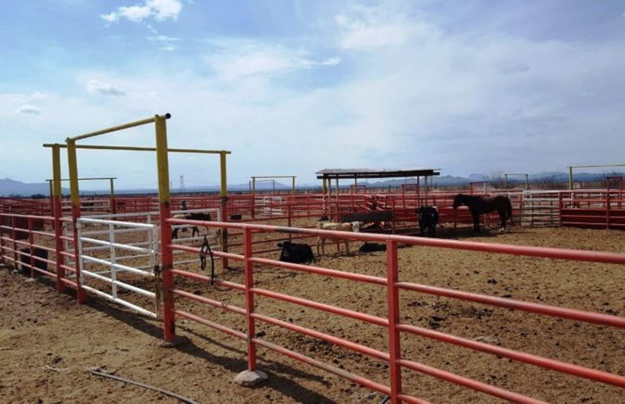 Aseguran rancho de 30 mil hectáreas de César Duarte. Noticias en tiempo real