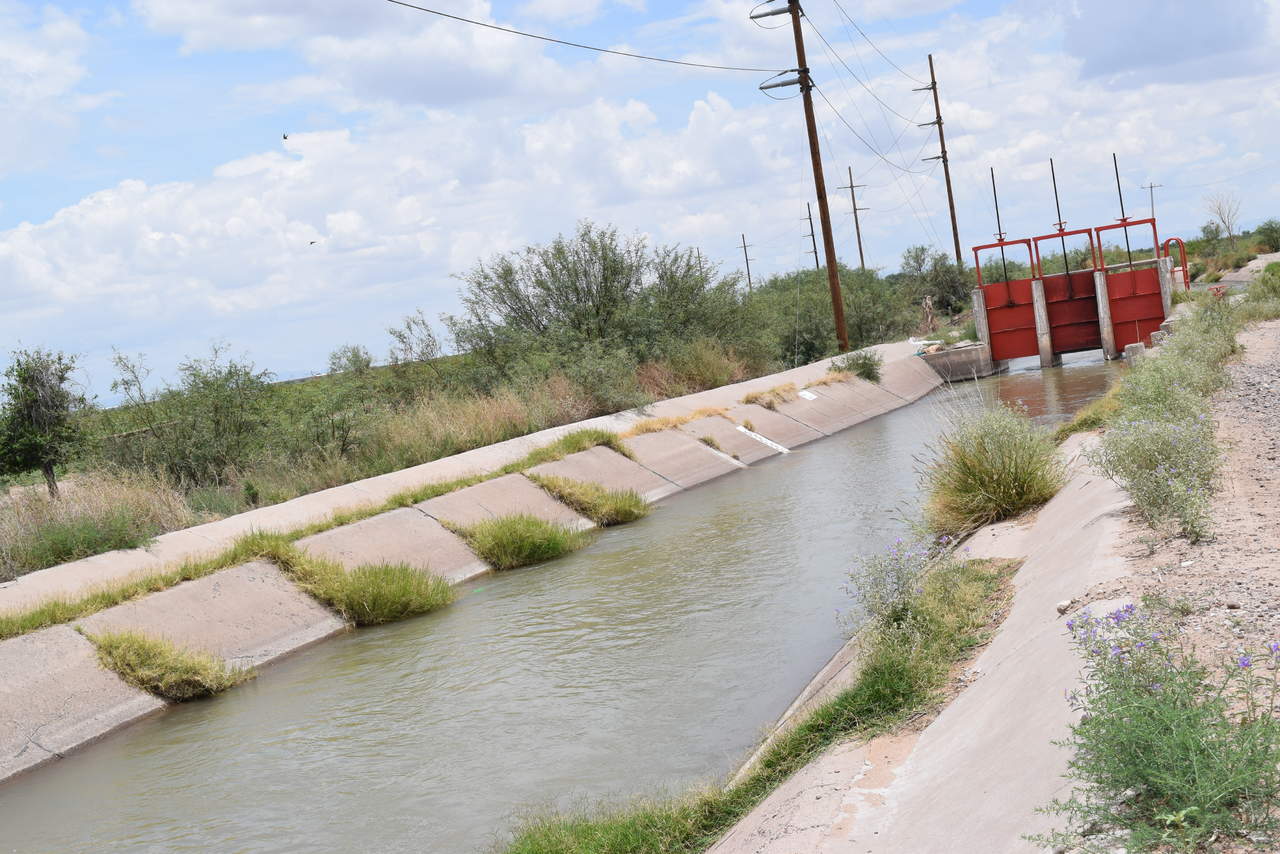 En San Pedro sancionarán a quienes naden en canales de riego. Noticias en tiempo real