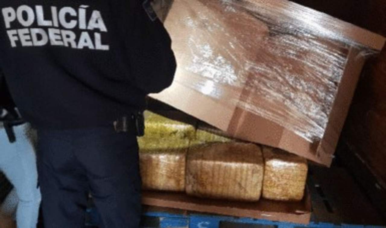 Aseguran más de una tonelada de droga en la Torreón-Saltillo. Noticias en tiempo real