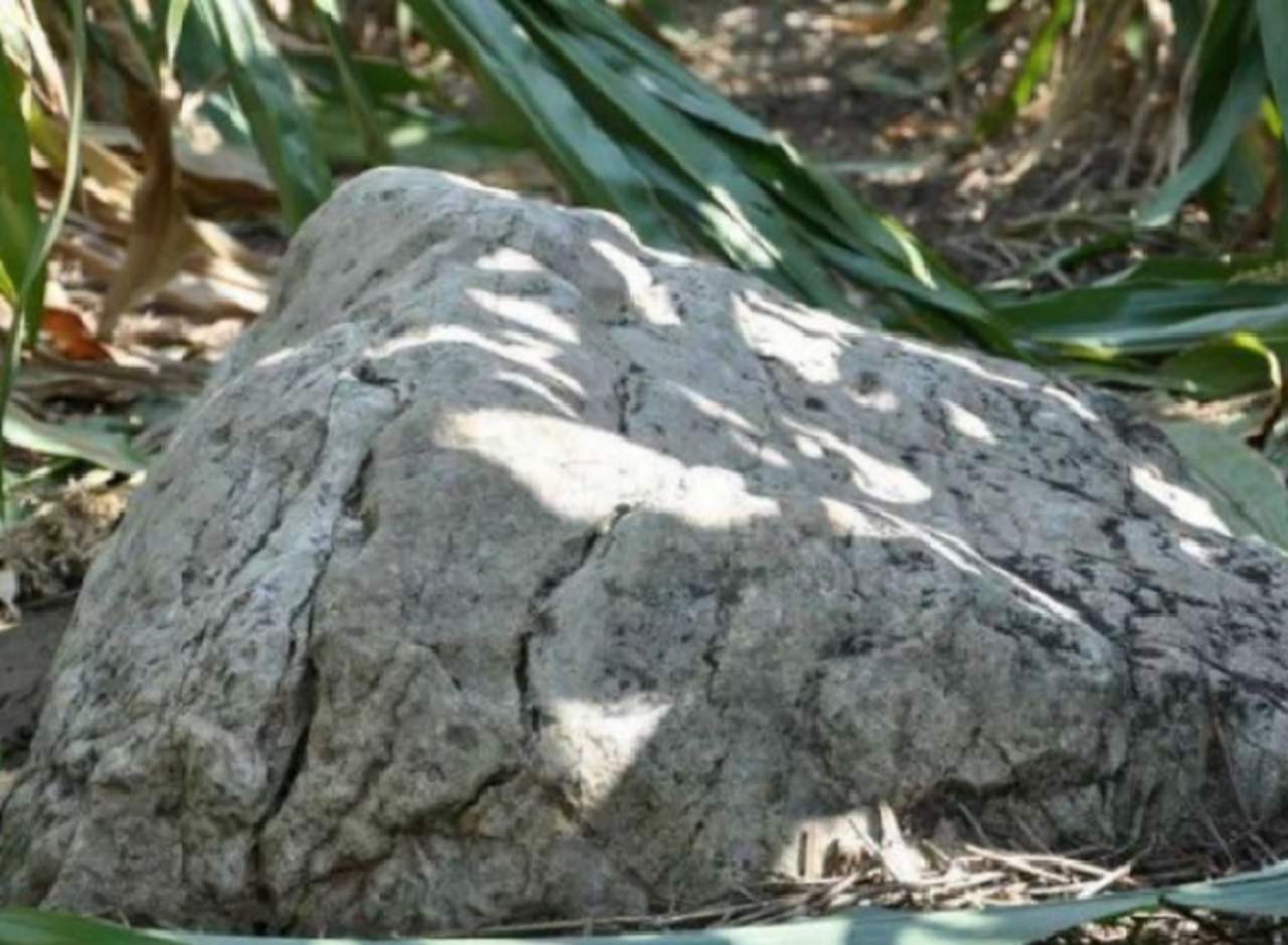 China llama colina a una ‘roca’ de medio metro. Noticias en tiempo real