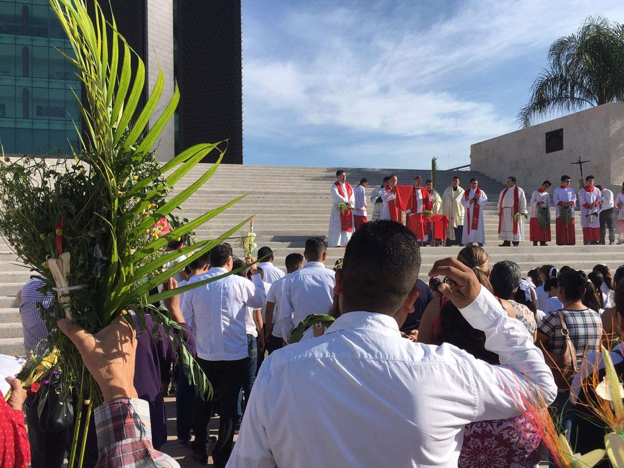 Celebra obispo de Torreón el Domingo de Ramos con procesión. Noticias en tiempo real