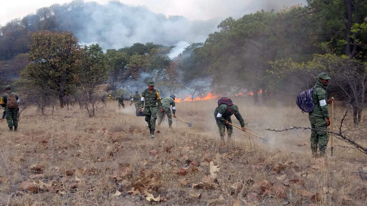 Autoridades reportan controlado incendio en Cerro San Miguel, Jalisco. Noticias en tiempo real