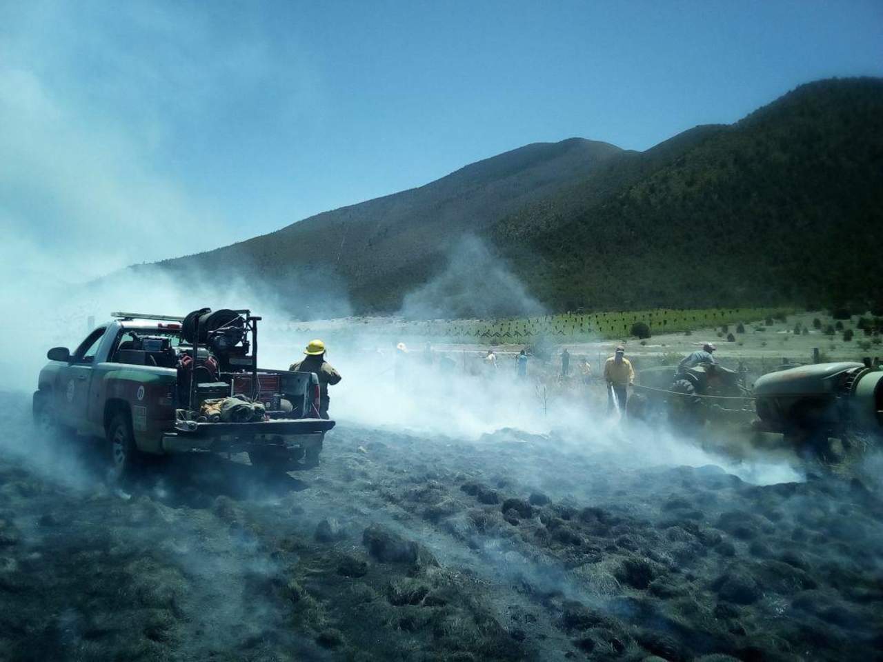 Se incendian cuatro hectáreas en ejido de Arteaga. Noticias en tiempo real