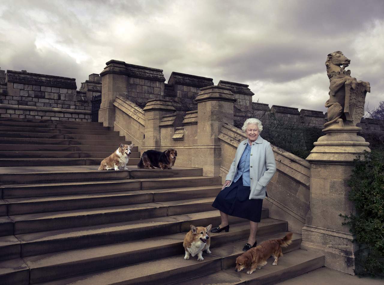 La reina Isabel II sufrió la muerte de su mascota. Noticias en tiempo real