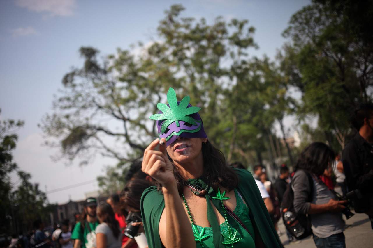 Marcharán consumidores de marihuana en la CDMX. Noticias en tiempo real