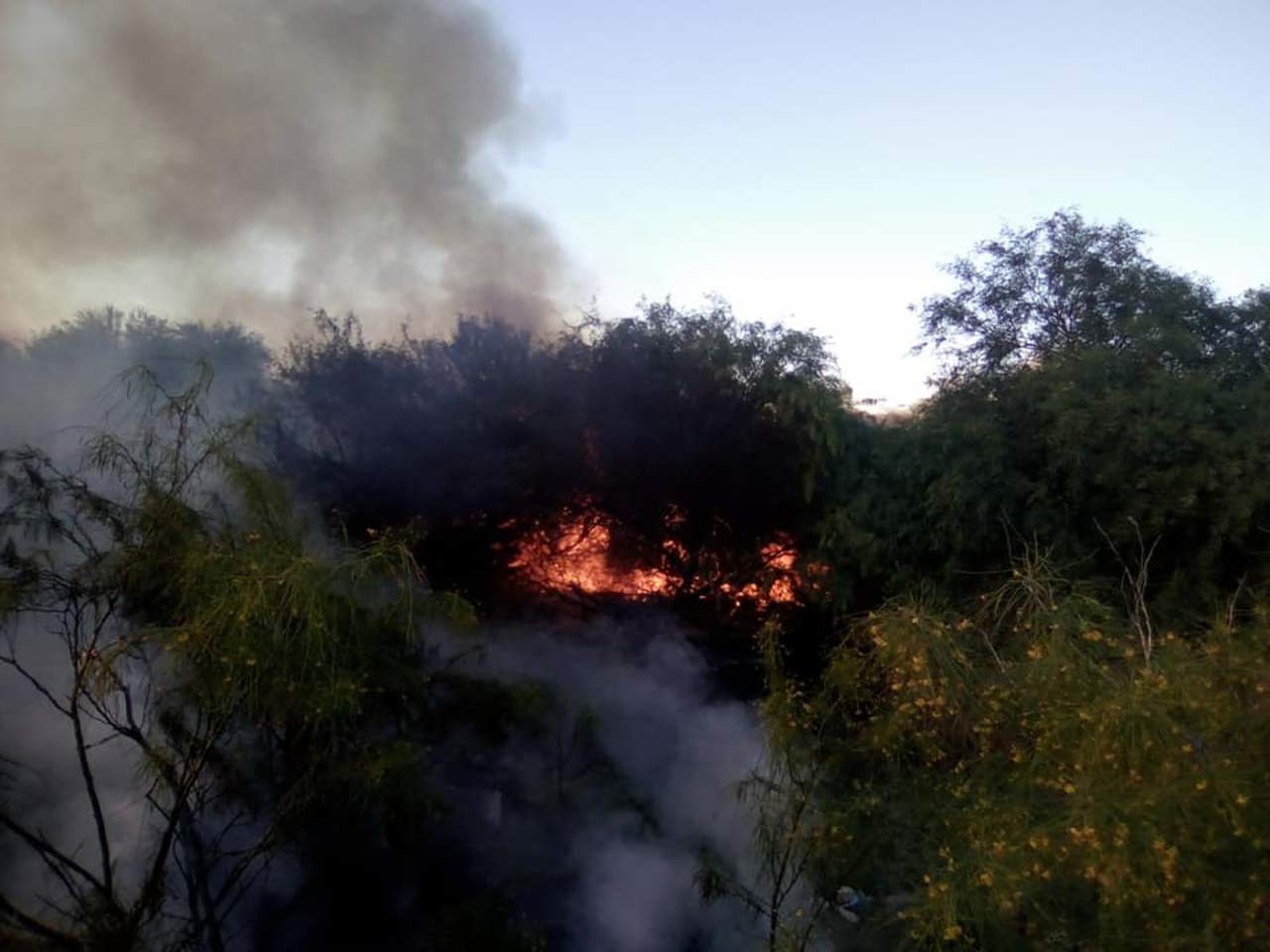 Provocan dos nuevos incendios, ahora en el Parque Raymundo de Lerdo. Noticias en tiempo real