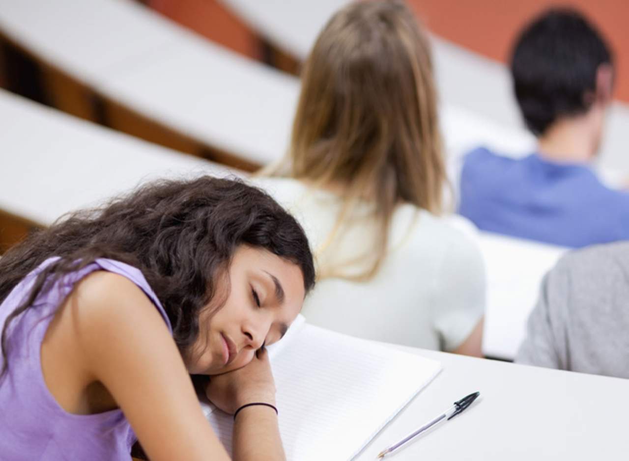 Instalan camas en universidad para dormir entre clases. Noticias en tiempo real