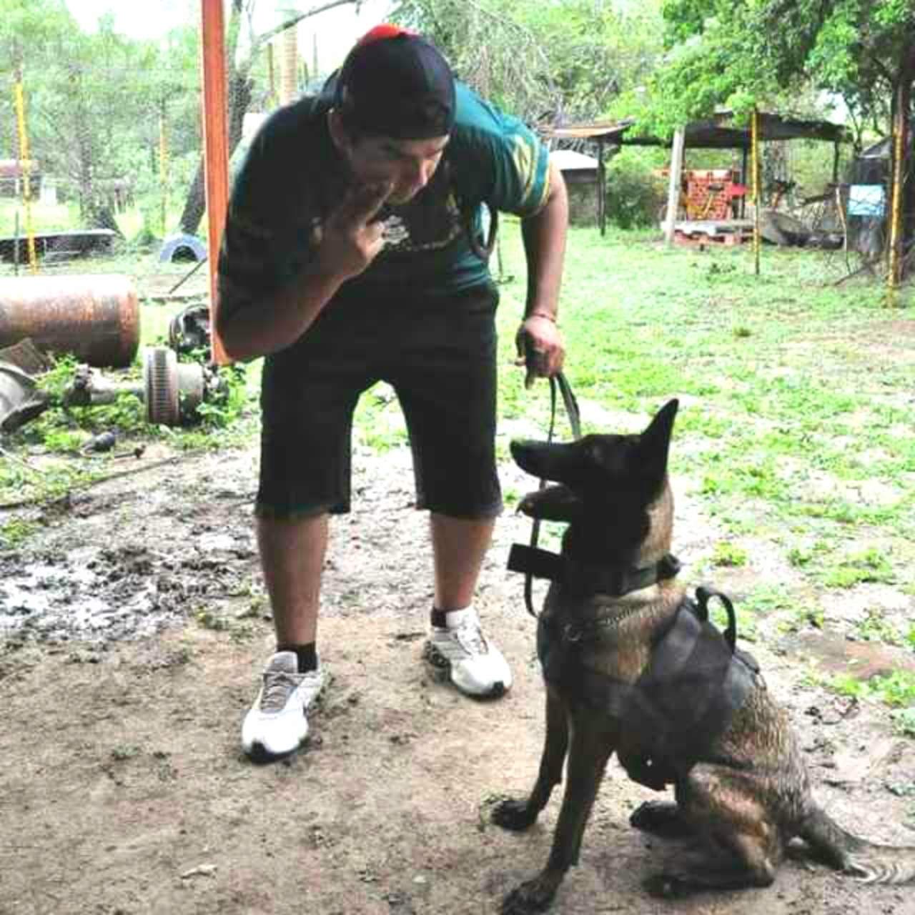 Buscan equipar con binomios caninos a Protección Civil de GP. Noticias en tiempo real