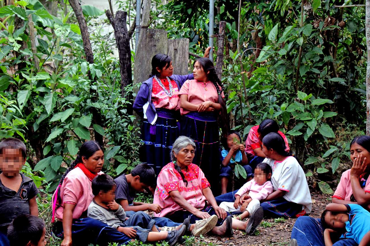 Siguen los desplazados por conflictos territoriales en Chiapas. Noticias en tiempo real