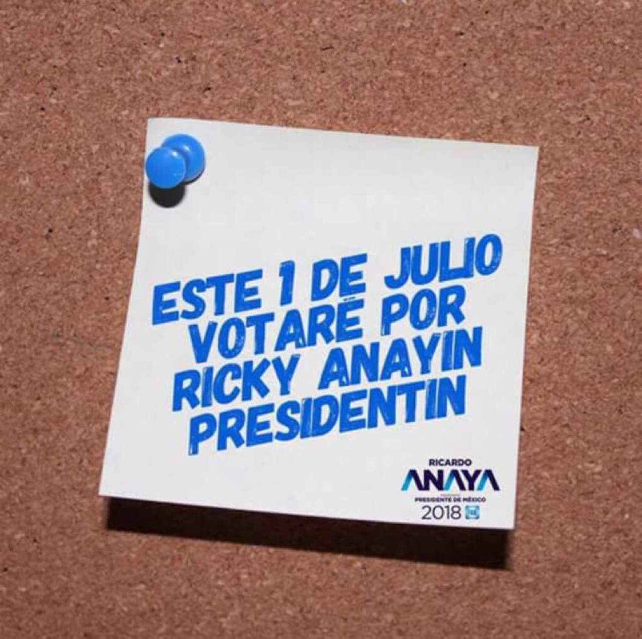 Ricky Anayín Presidentín, la nueva campaña panista. Noticias en tiempo real