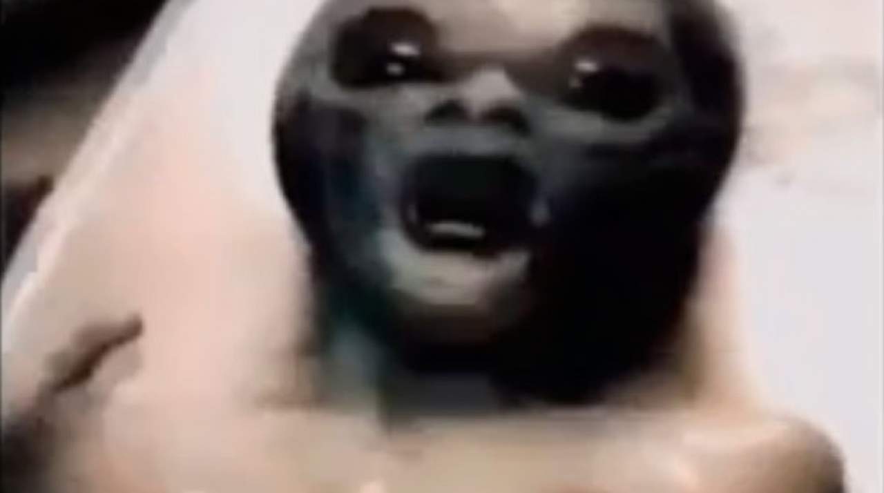 Se filtra video donde se muestra supuesto extraterrestre. Noticias en tiempo real