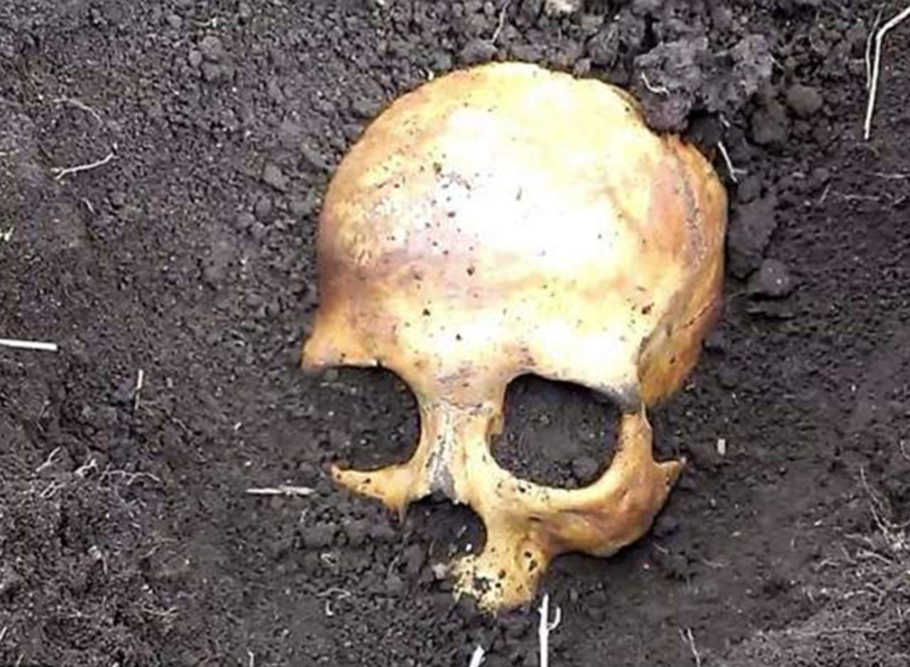 Encuentra cráneo humano; respuesta de su esposa le sorprende más. Noticias en tiempo real