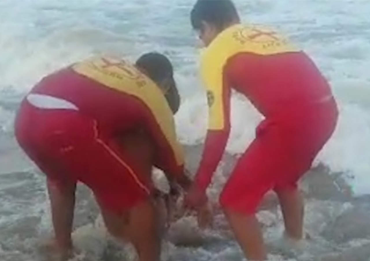 VIDEO: Rescatan a joven tras ser atacado por tiburón. Noticias en tiempo real