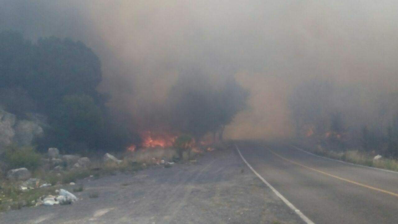 En riesgo de que se extienda incendio de Arteaga. Noticias en tiempo real