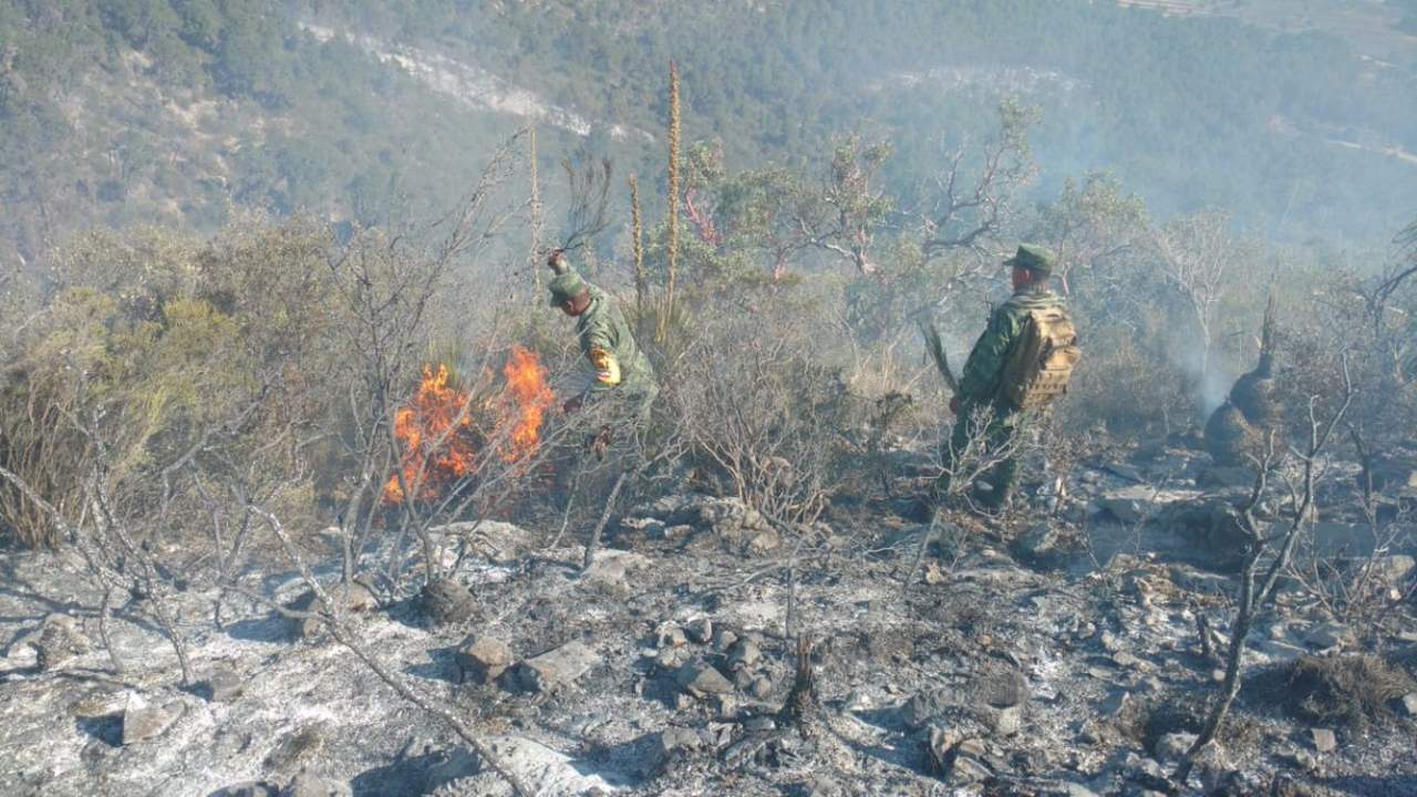 Controlan en un 95% incendio en Sierra de Arteaga. Noticias en tiempo real