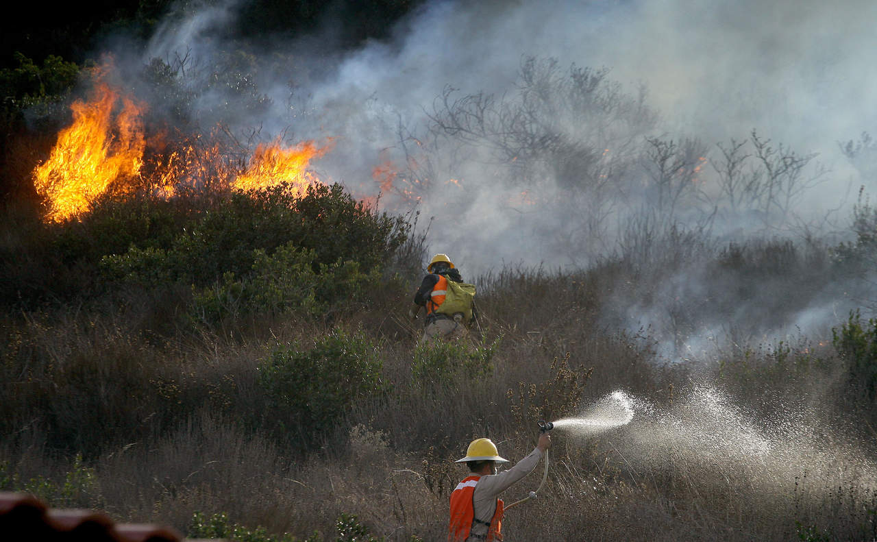 Cables caídos generaron incendios forestales en California. Noticias en tiempo real