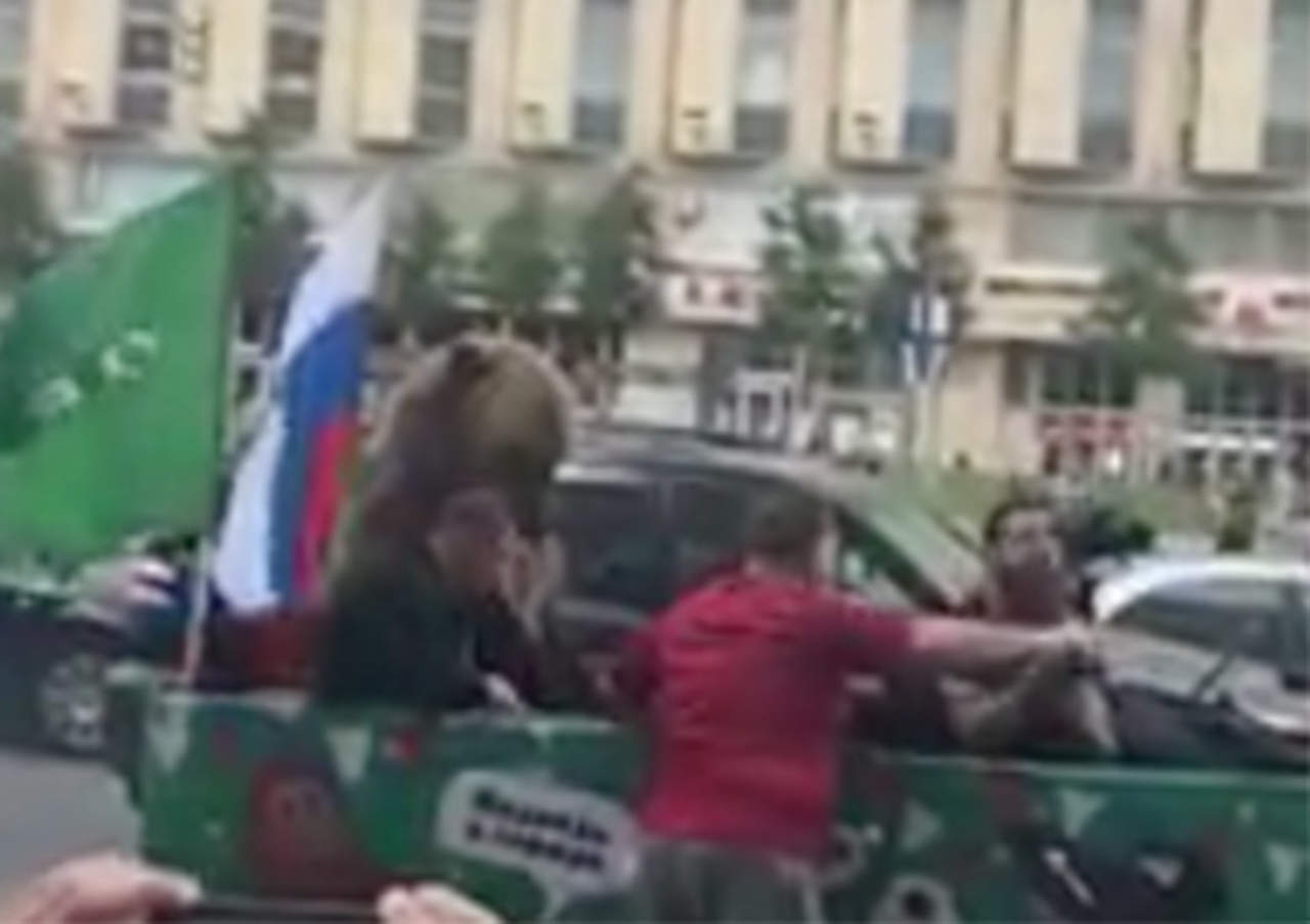 VIDEO: Oso real saluda y toca la trompeta en Rusia. Noticias en tiempo real