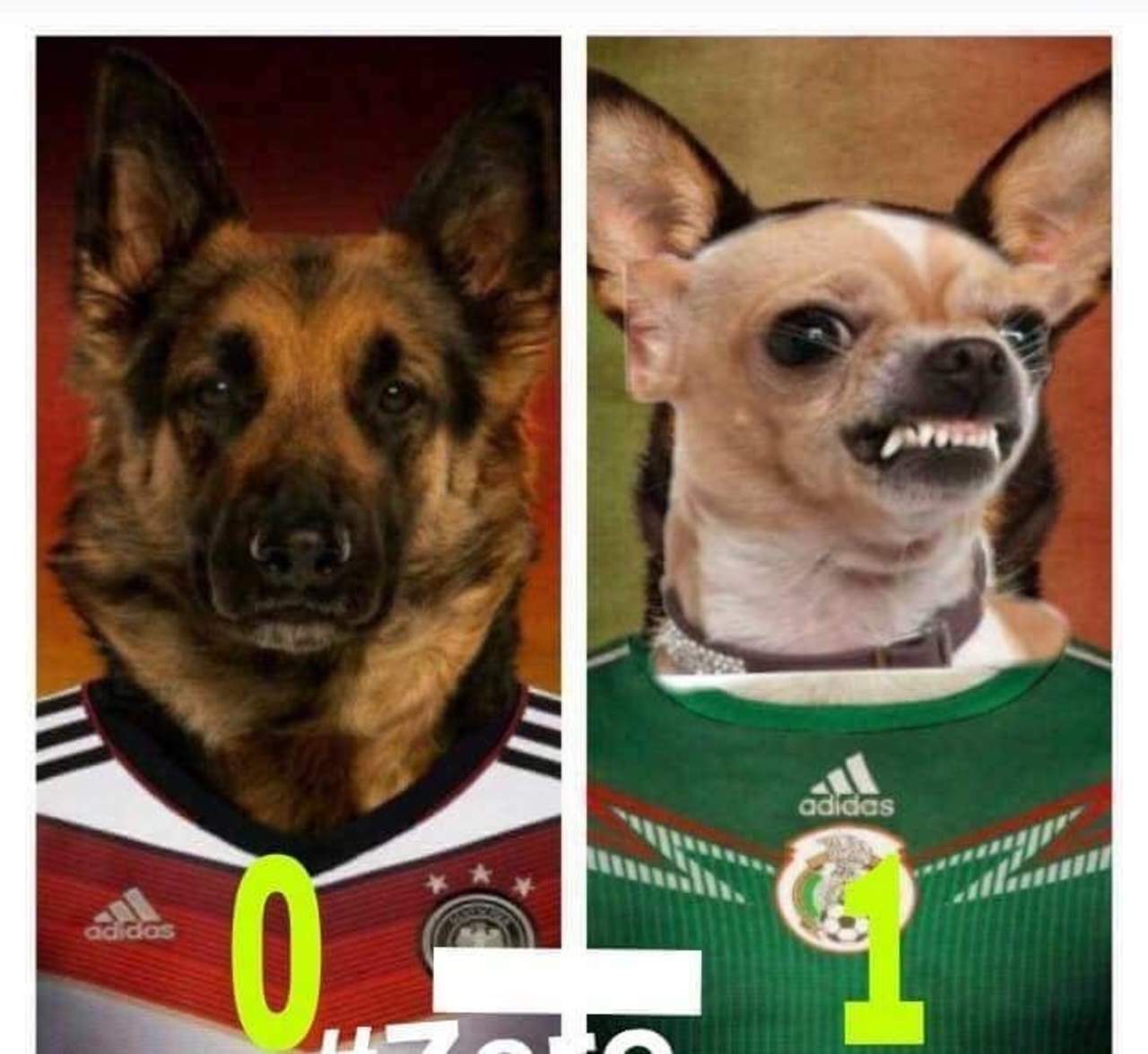 Internet explota con los memes de México vs Alemania. Noticias en tiempo real