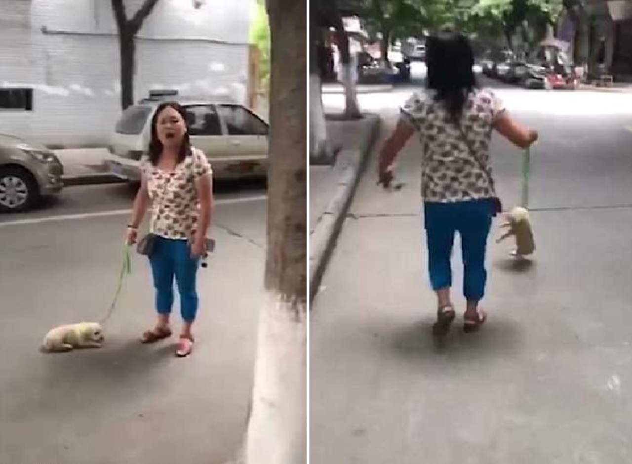 Mujer que arrastra a su perro en la calle genera controversia. Noticias en tiempo real