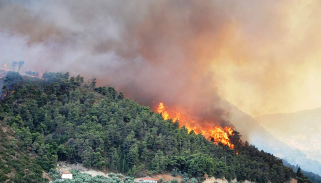 Confirman incendio forestal en El Cedrito, Acuña. Noticias en tiempo real