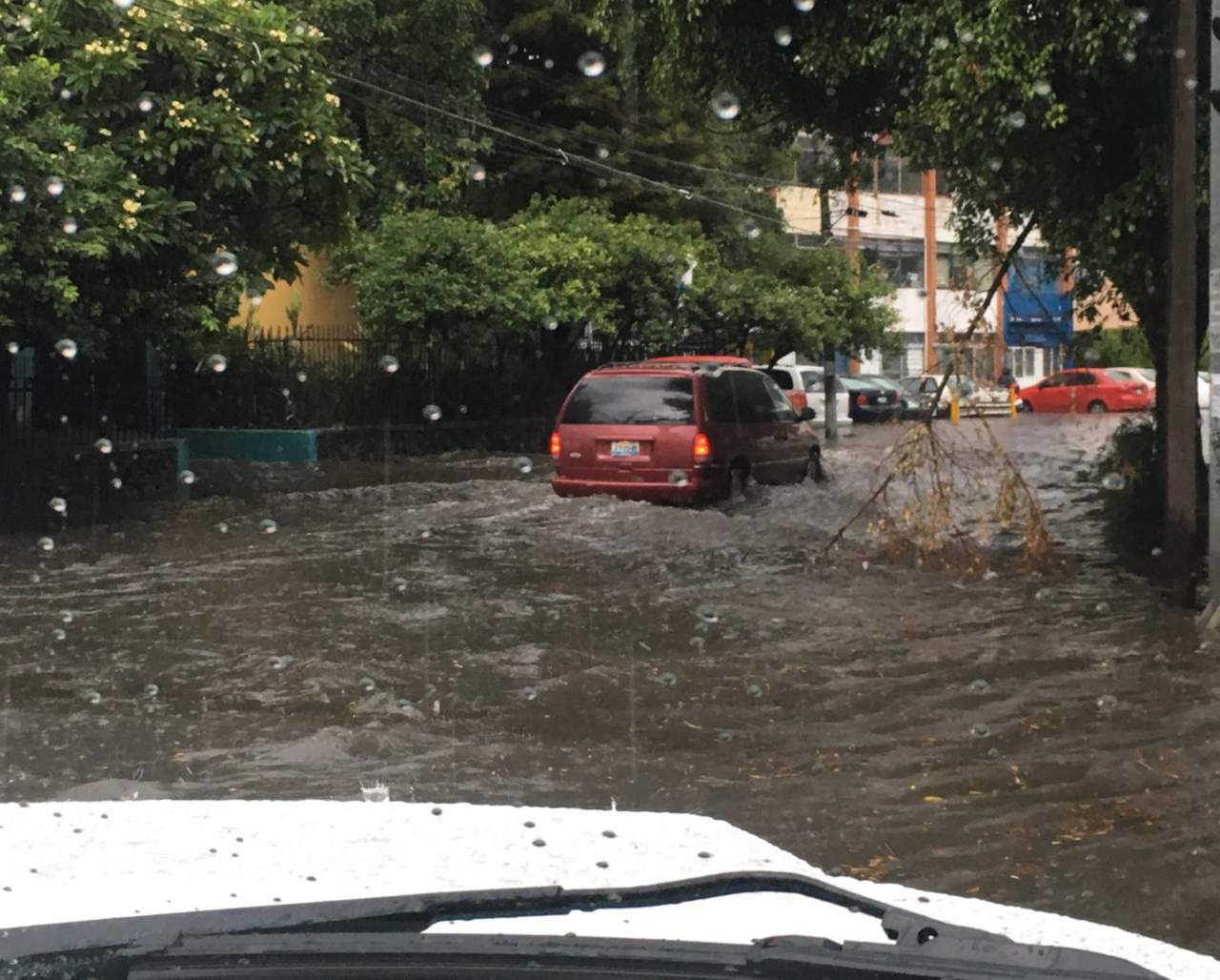 Lluvias provocan inundaciones y árboles caídos en Guadalajara. Noticias en tiempo real