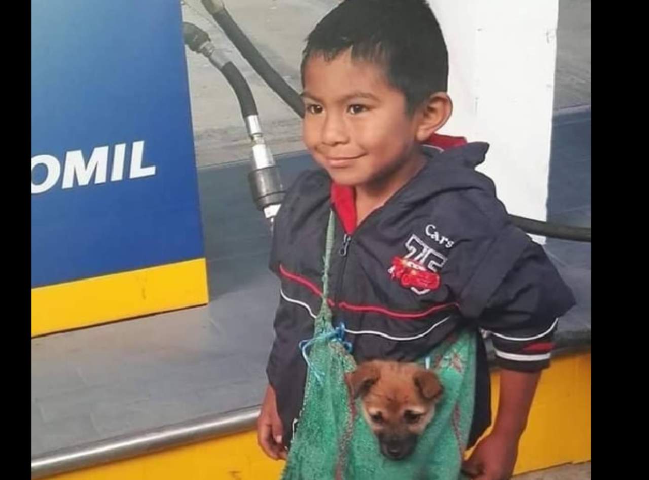 Conmovedora imagen de niño y su perro se hace viral. Noticias en tiempo real