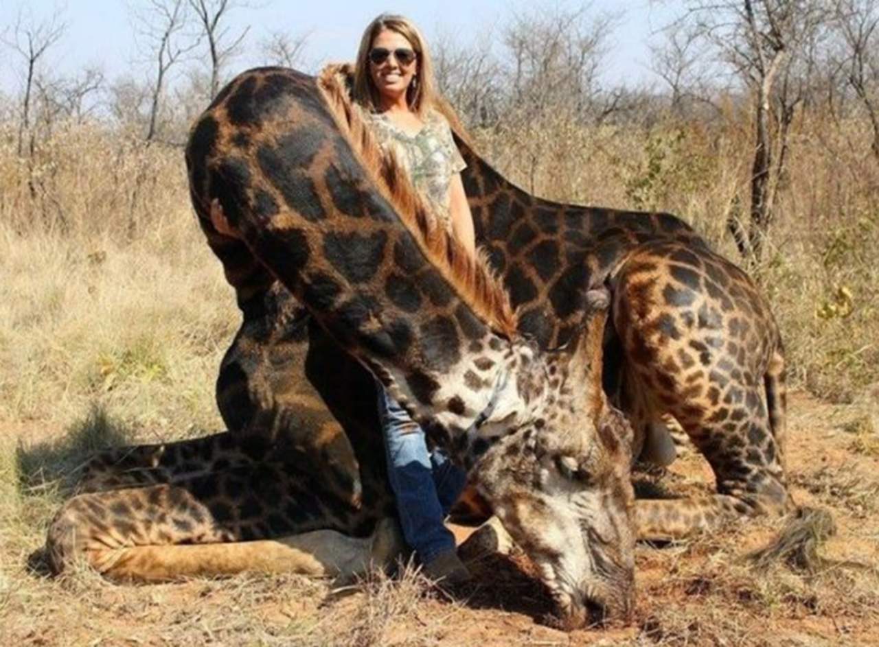 Cazadora posa junto a jirafa negra y causa indignación. Noticias en tiempo real