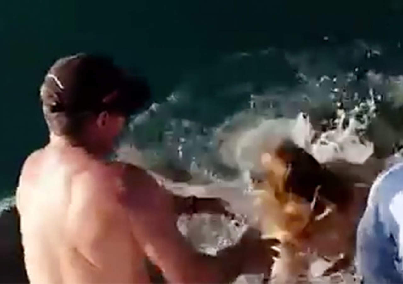 Tiburón ataca a mujer y la arrastra hacia el agua. Noticias en tiempo real