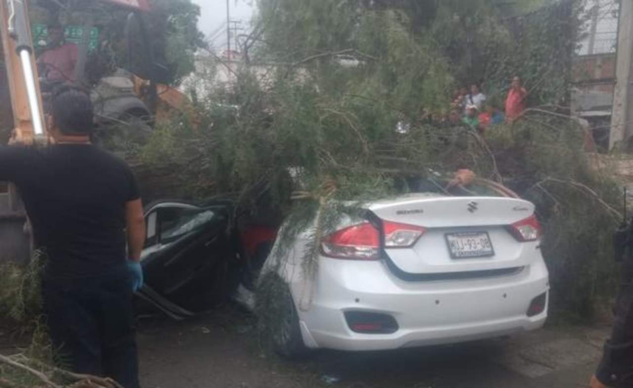 Fallece automovilista al caerle árbol en Ecatepec. Noticias en tiempo real
