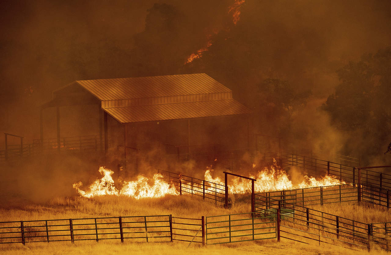 Incendios en California dejan un muerto; destruye 40 edificaciones. Noticias en tiempo real