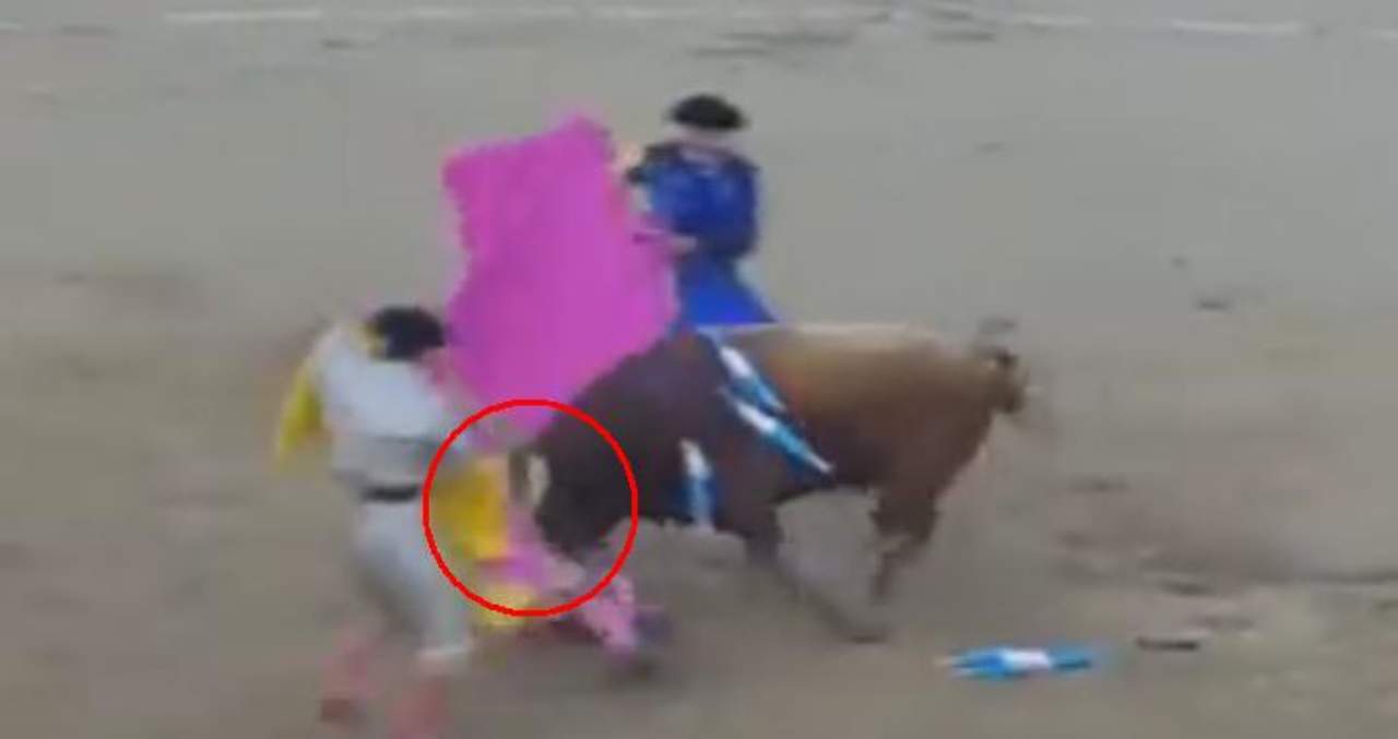 VIDEO: Toro arranca cuero cabelludo de torero. Noticias en tiempo real