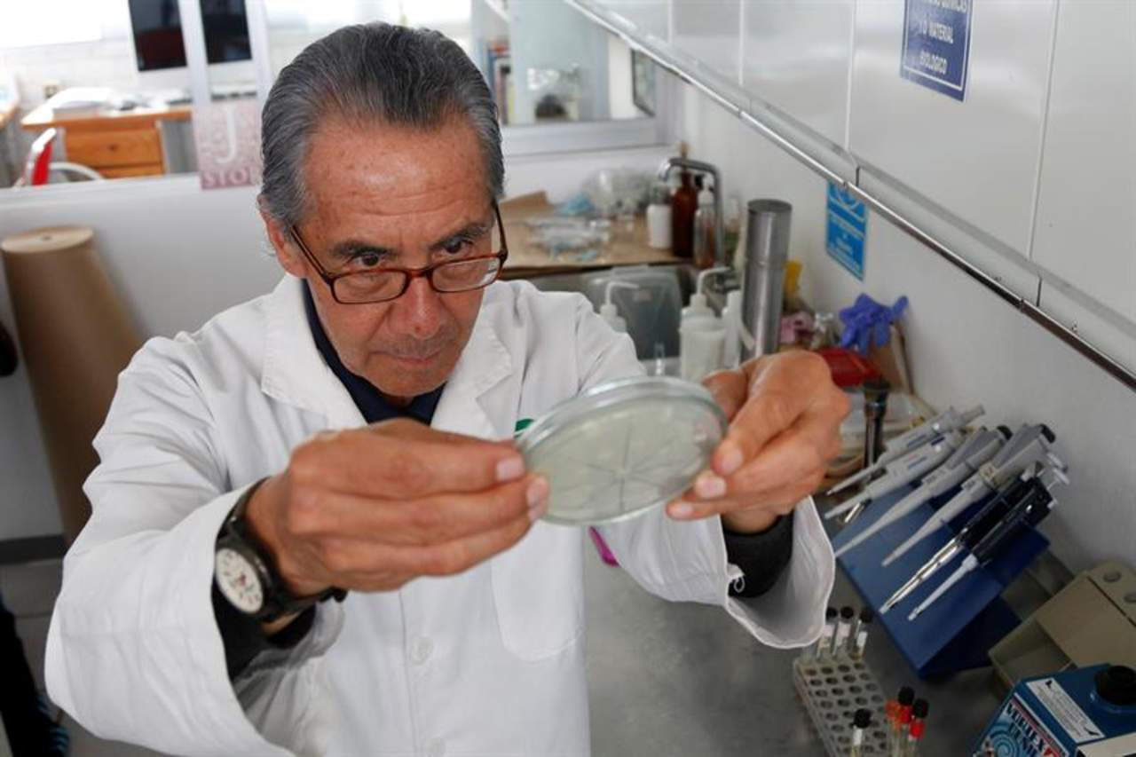 Mexicano crea antibiótico con piel de rana para curar infecciones en vacas. Noticias en tiempo real