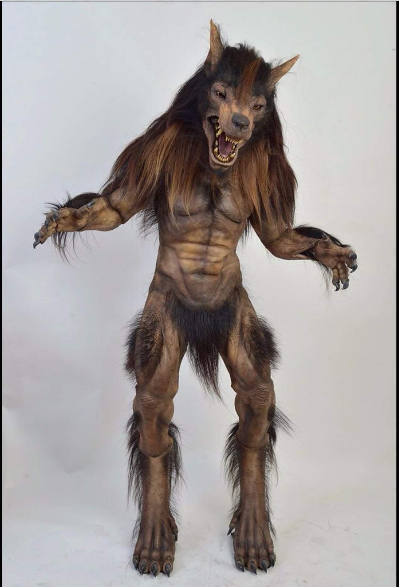 ‘Ni maiz paloma’, niega Del Toro haber hecho la mascota de Lobos BUAP. Noticias en tiempo real