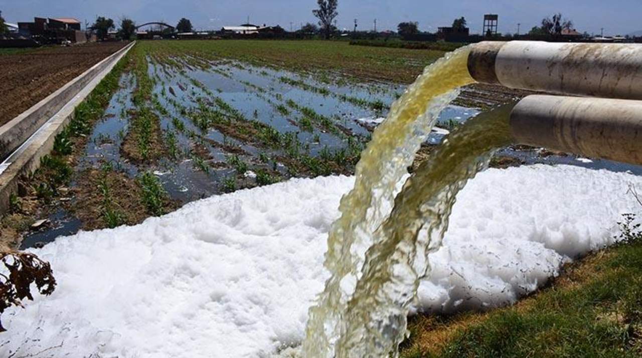 México, segundo país del mundo que usa agua sin tratar para cultivos. Noticias en tiempo real