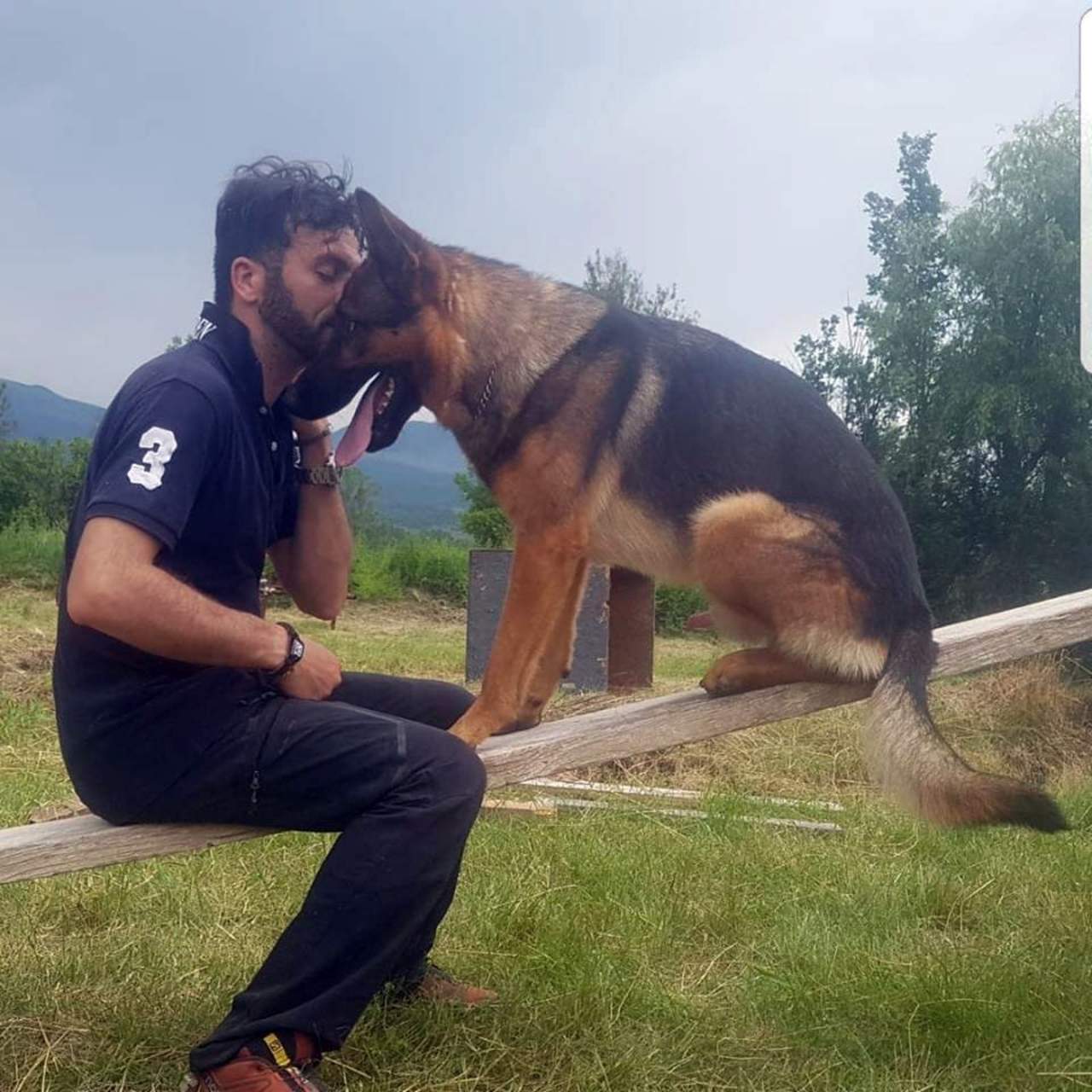 Envenenan a perro que rescató a víctimas del sismo en Italia. Noticias en tiempo real