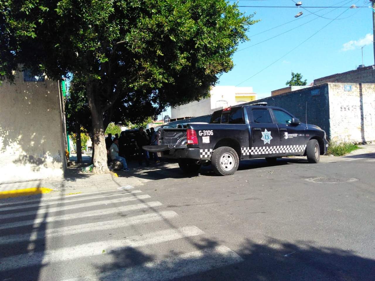 Encuentran cuatro cuerpos en una fosa clandestina en Guadalajara. Noticias en tiempo real