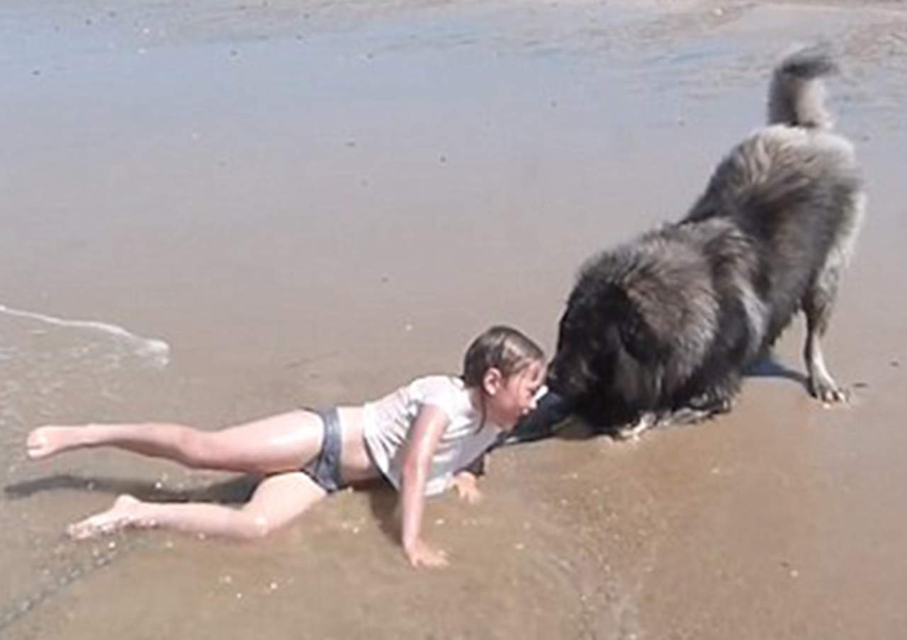 Perro protector cuida a niña en la orilla del mar. Noticias en tiempo real