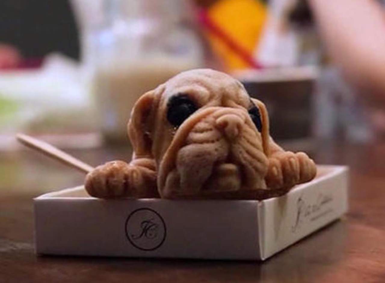 Cafetería sirviendo helados en forma de perro se hace viral. Noticias en tiempo real