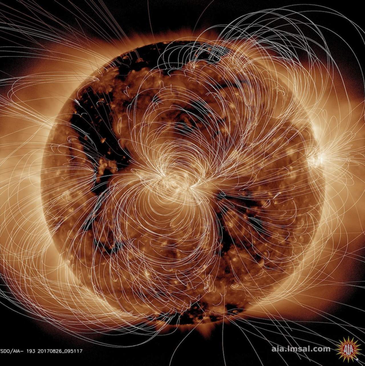 NASA realiza campo magnético del Sol en computadora. Noticias en tiempo real