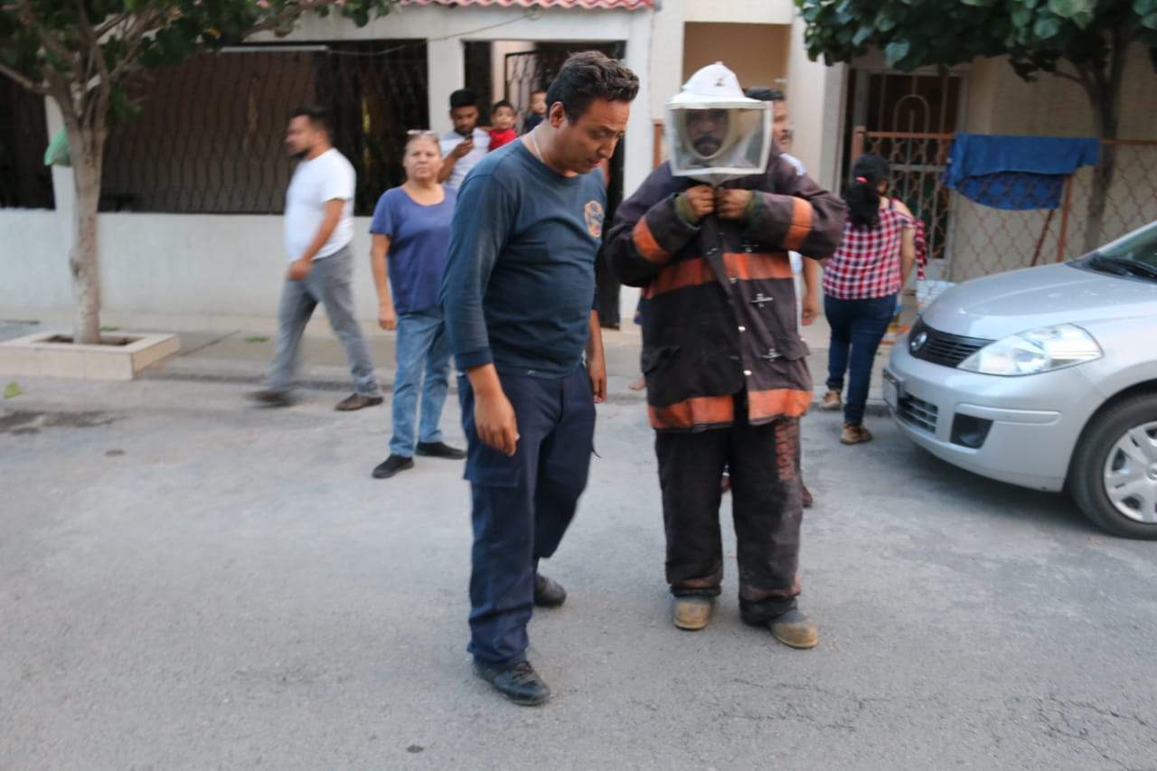 Abejas atacan a personas en la colonia Jacarandas de Torreón. Noticias en tiempo real