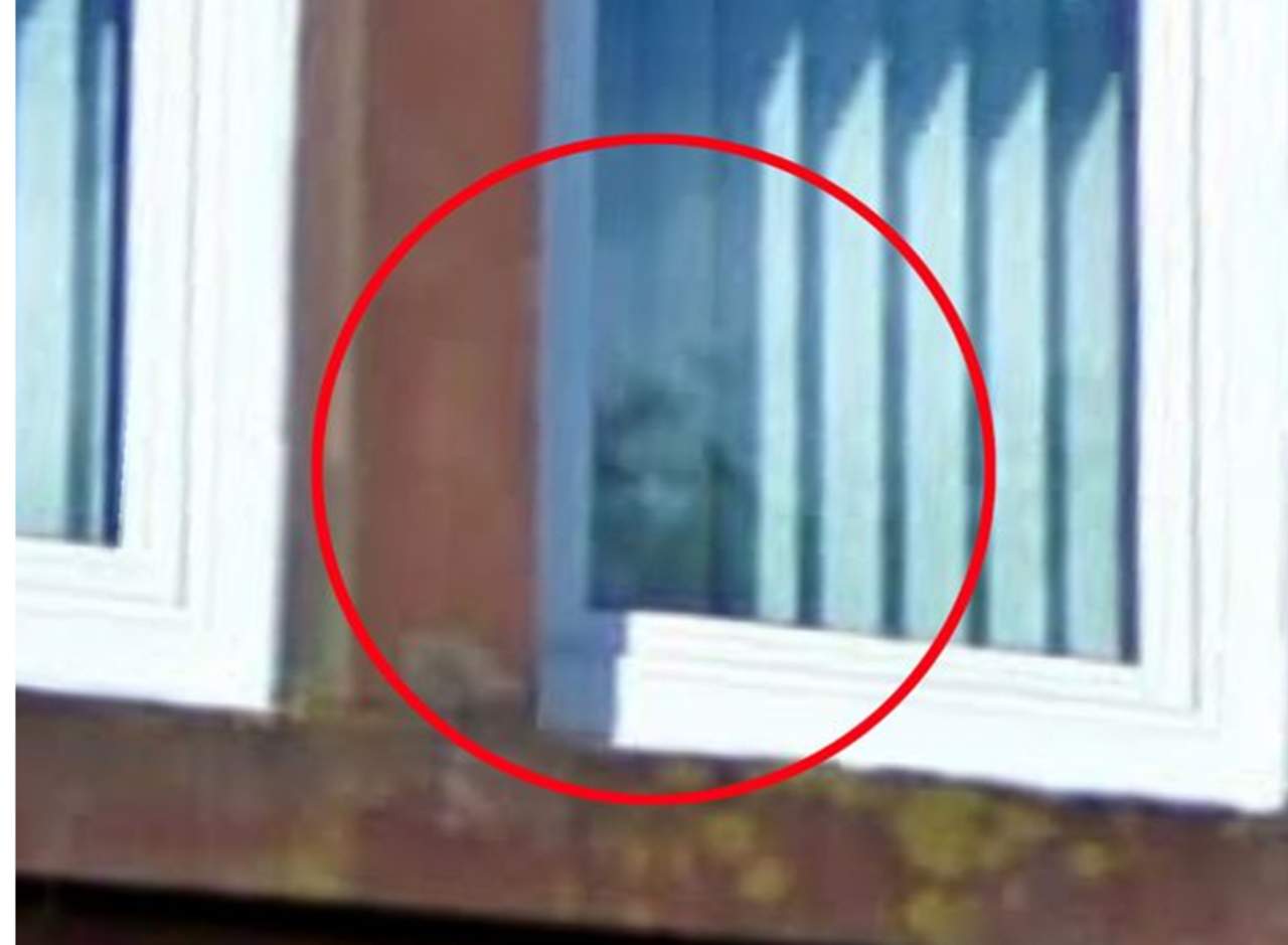 Cree haber descubierto un fantasma en fotos viejas de su casa. Noticias en tiempo real