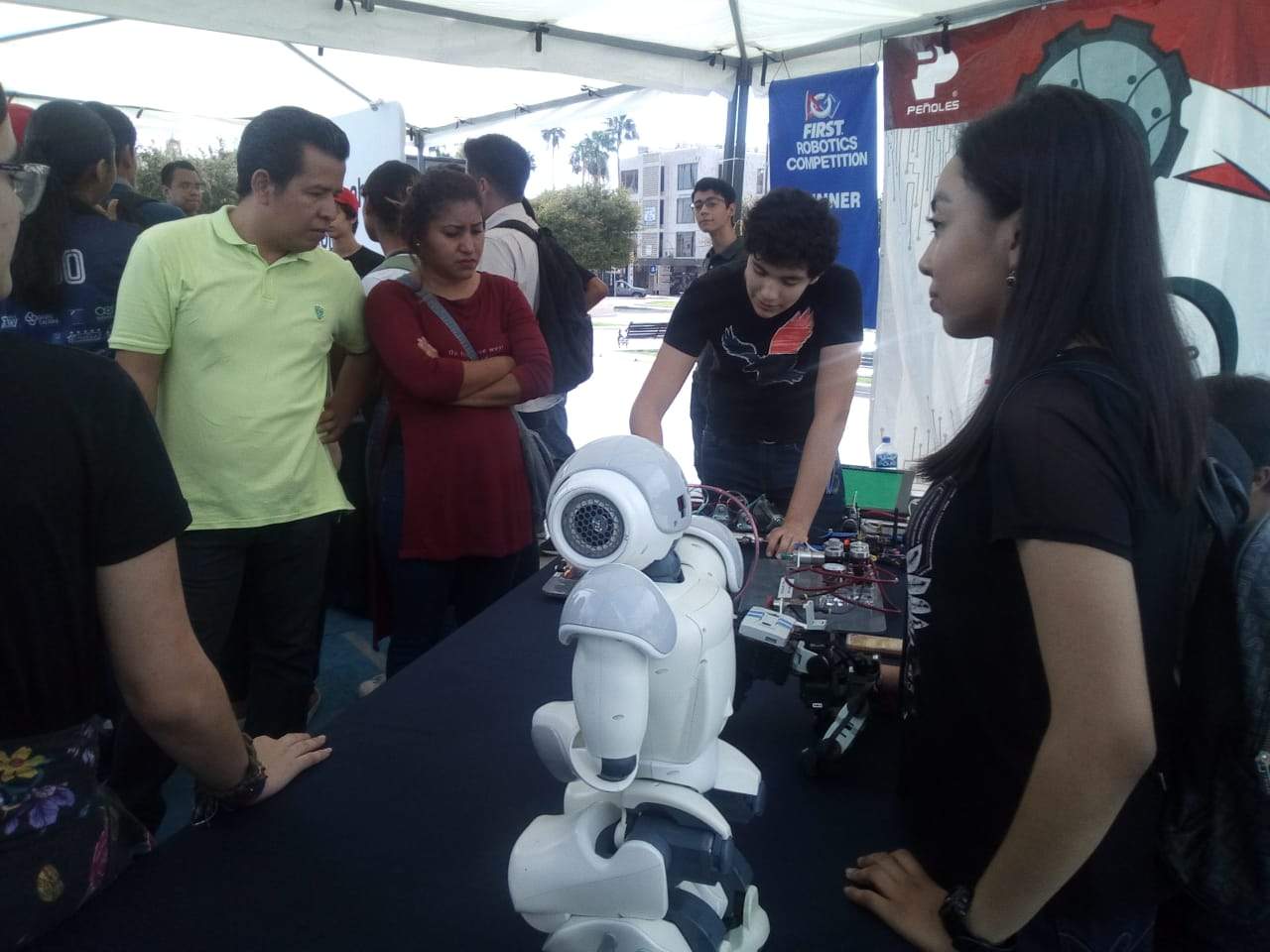 Realizan primer festival de Robótica en Torreón. Noticias en tiempo real