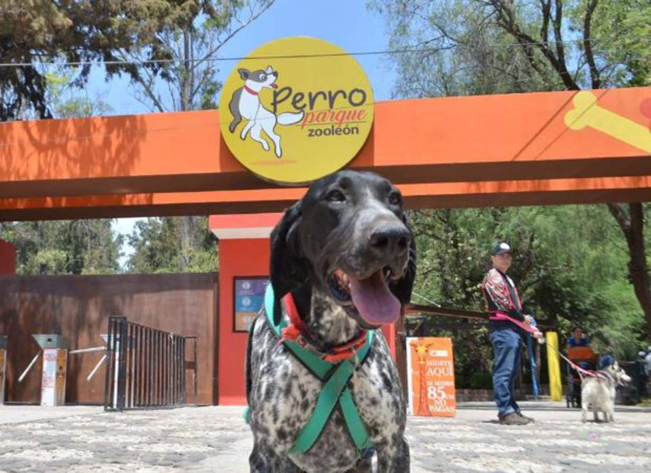 Inauguran parque para perros en zoológico de León. Noticias en tiempo real